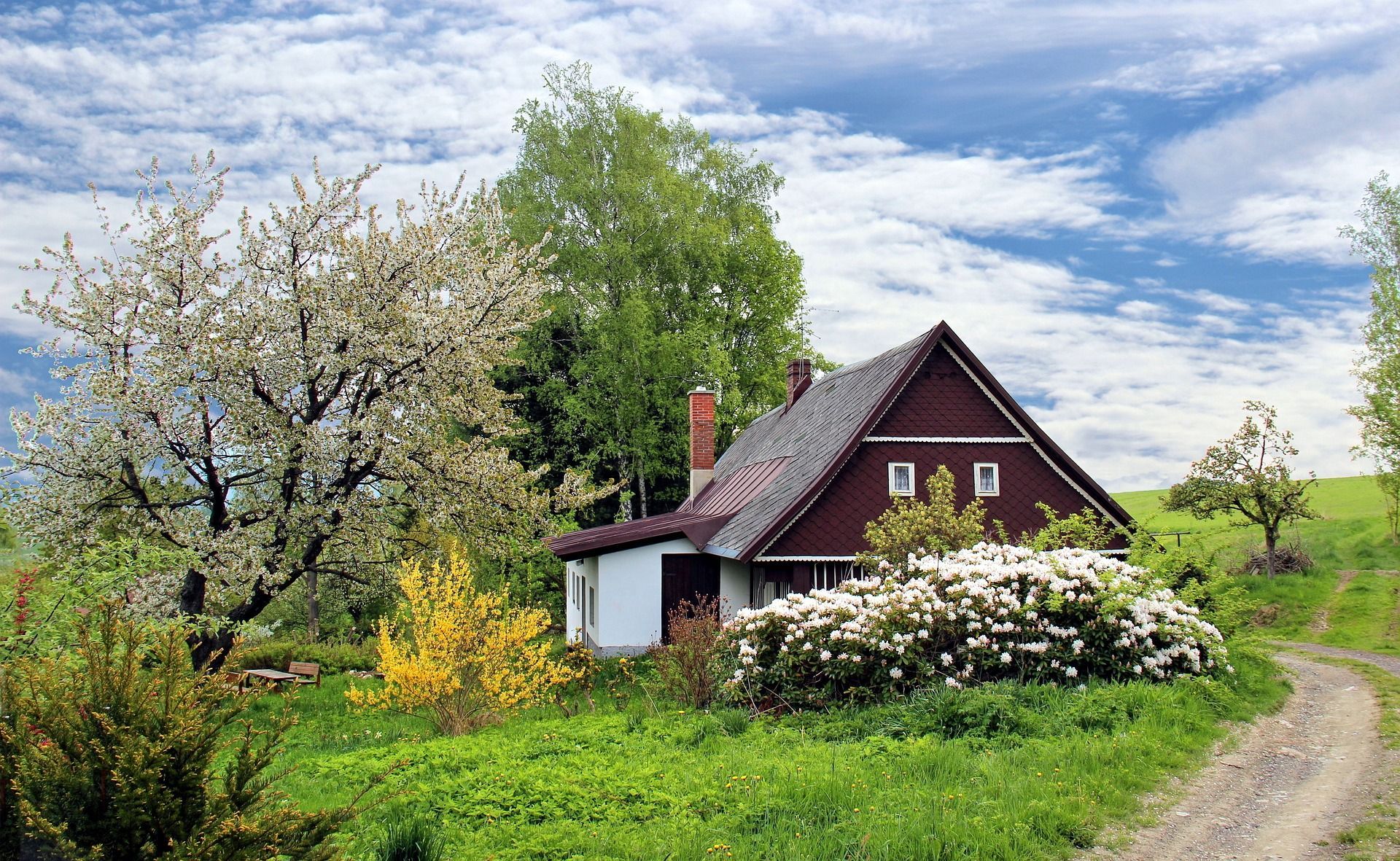 Einfamilienhaus im Grünen
