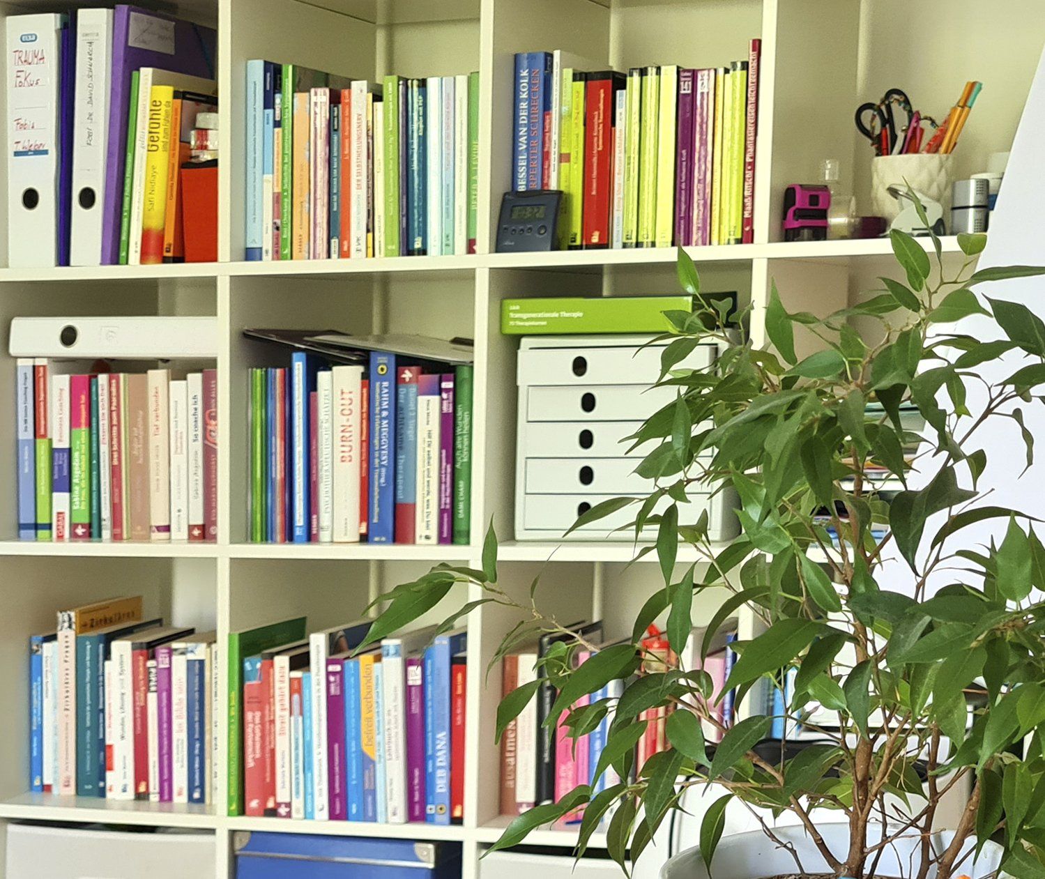 Systemische Paarberatung Karlsruhe