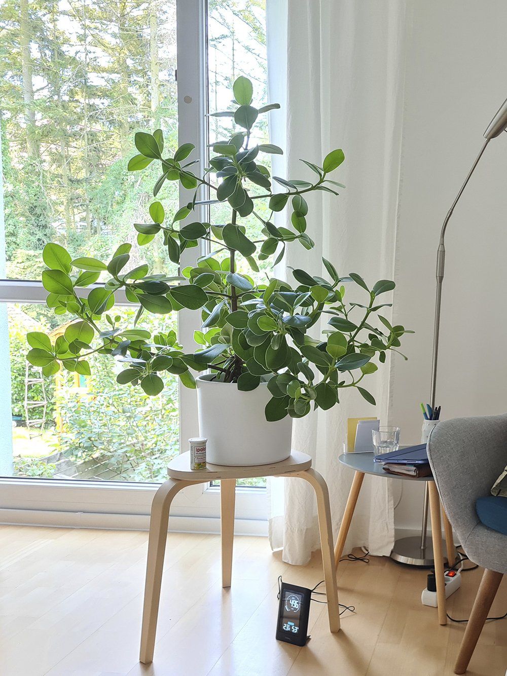 Systemische Paarberatung