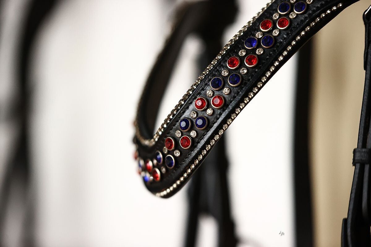 Bling browband