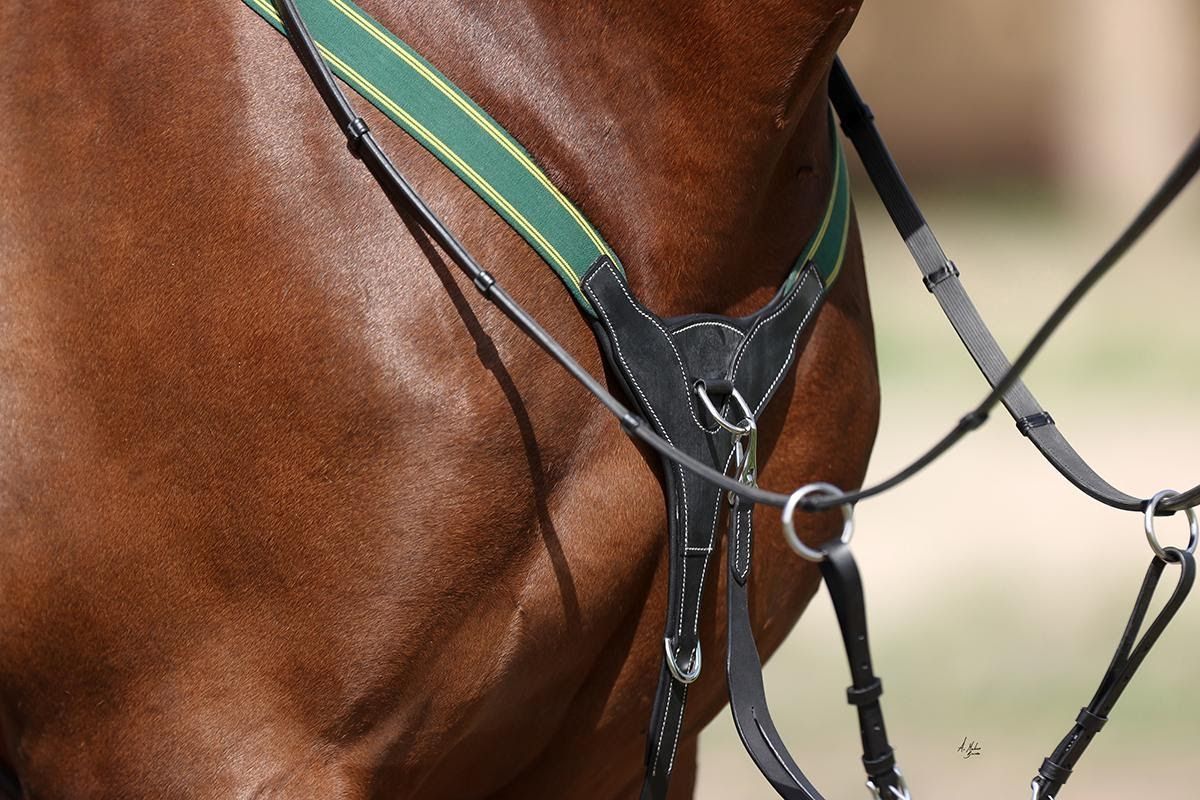 Competition horse breastplate