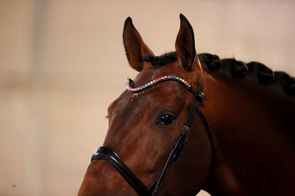 Italian Leather Bling Browband