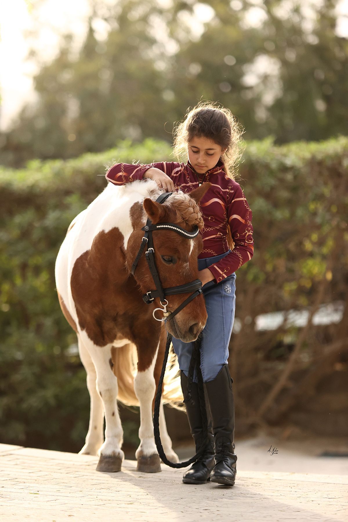 Dainty Prestige Phantom premium European leather bridle for small ponies and ponies. 8mm Preciosa crystals. Quick-change with anti-slip grip. Anatomical contoured fit. By Ice Equestrian