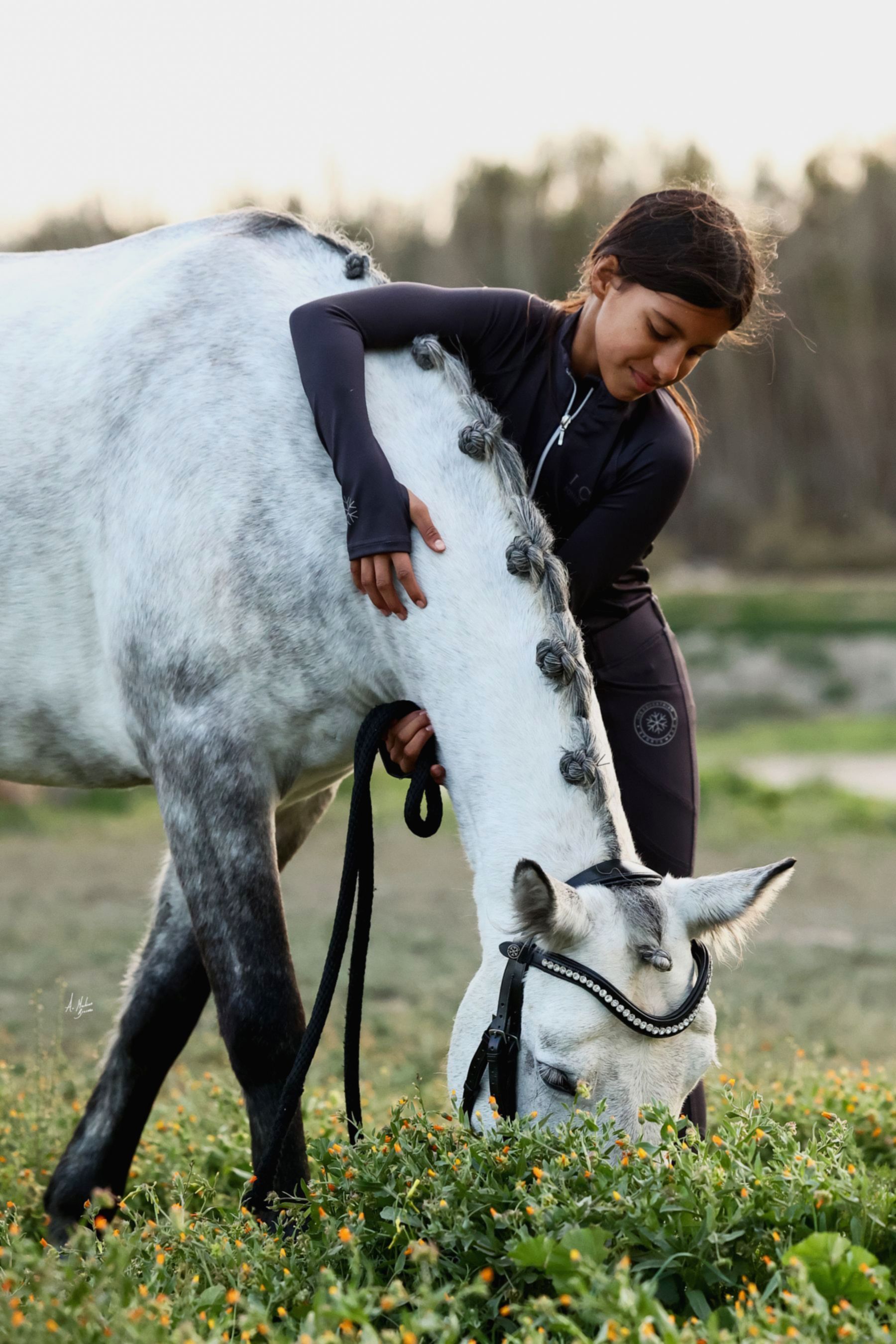 Discounted Slate Kadie young rider everyday pull-on breeches. Thicker 4-way stretch fabric with full-seat silicone grip and snug fit. By Ice Equestrian