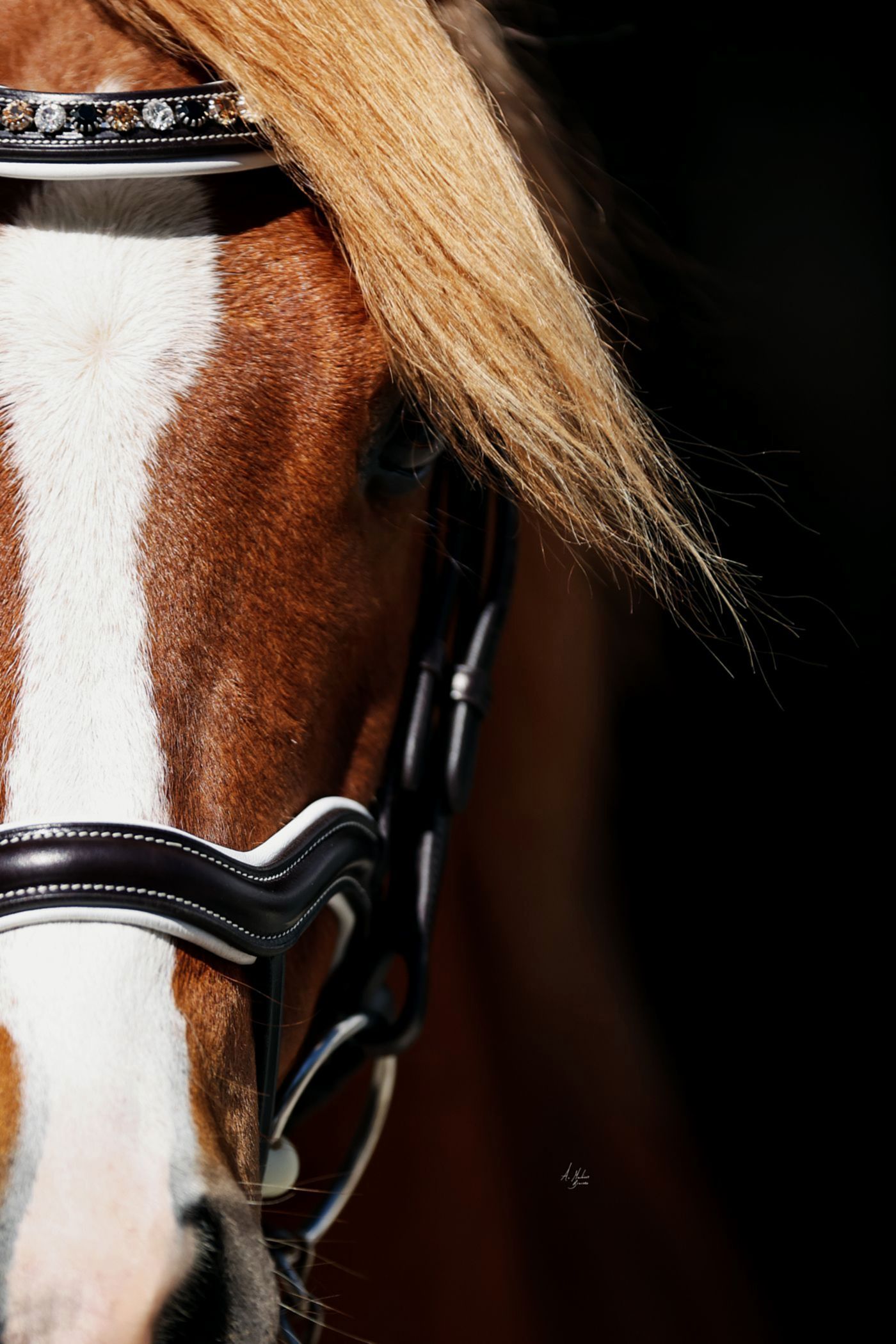 Italian leather bridlework Small Pony and Pony Italian leather bridle accessories