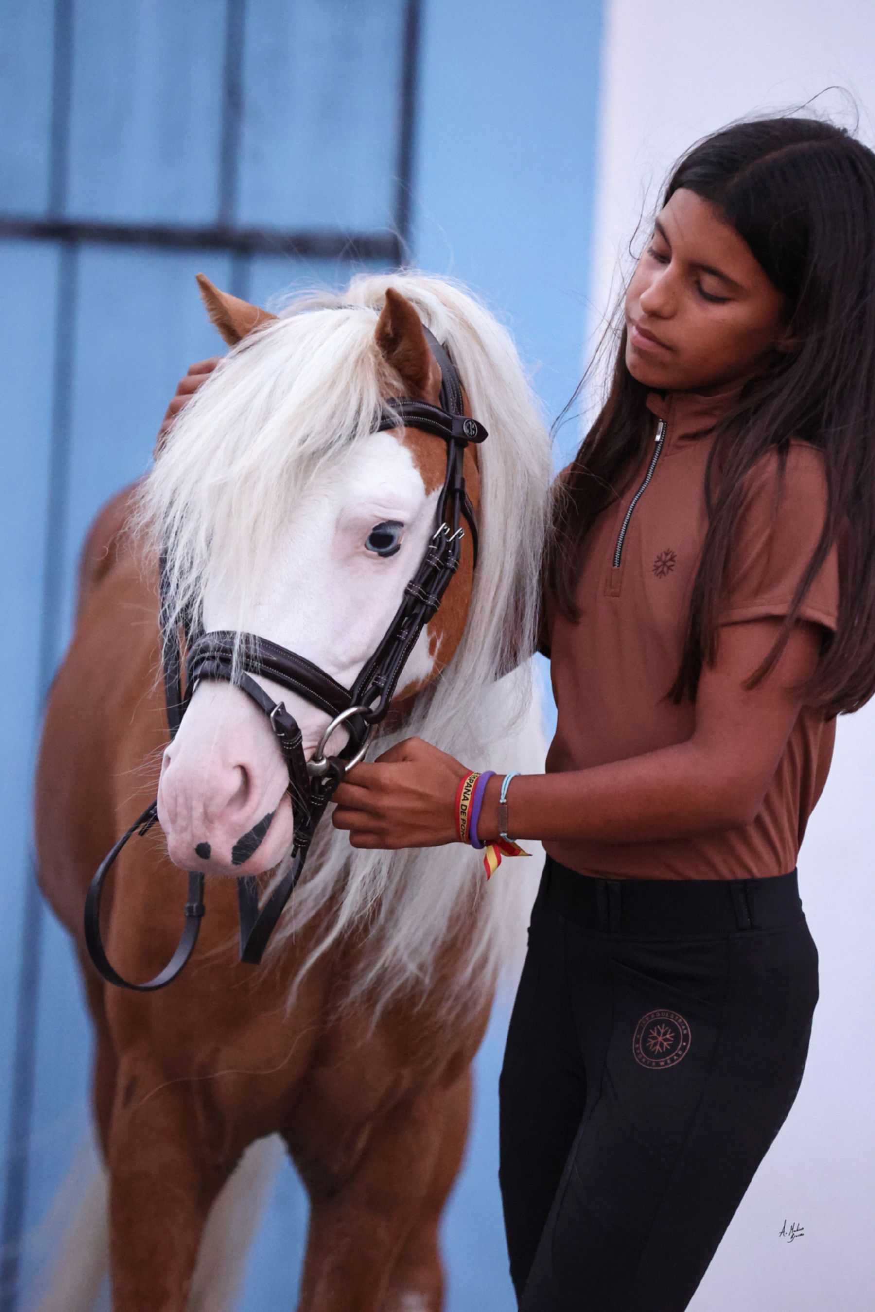 Dainty Luxe Nova vegetable tanned leather bridle for small ponies and ponies. White decorative stitching on the noseband and browband. Quick-change curve shape. Anatomical contoured fit. By Ice Equestrian