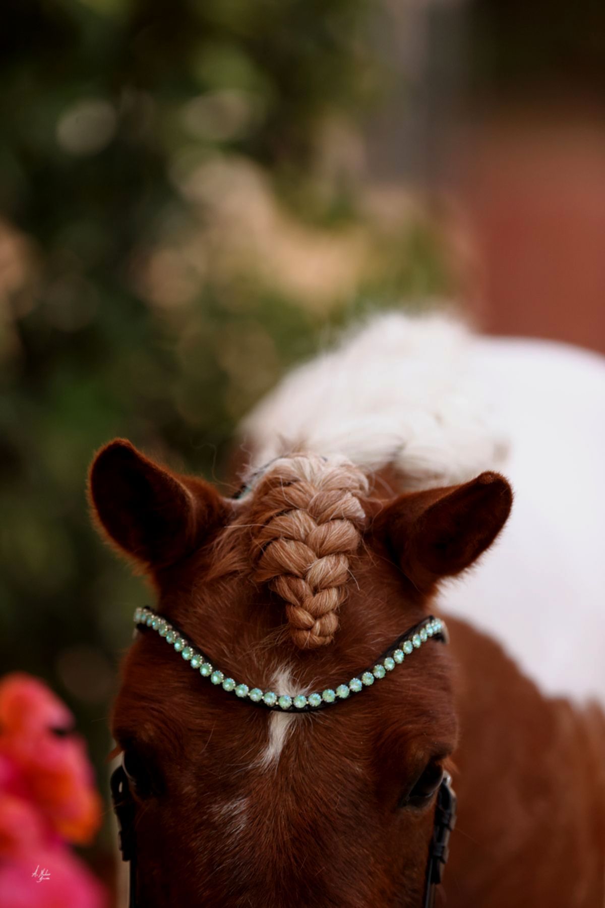 Let every hoofbeat echo with brilliance. Elite Ice Mint browband. Stellux crystals in iridescent mint. Quick-change. Slender anatomical deep U-shape. Italian leather. All sizes. By Ice Equestrian.
