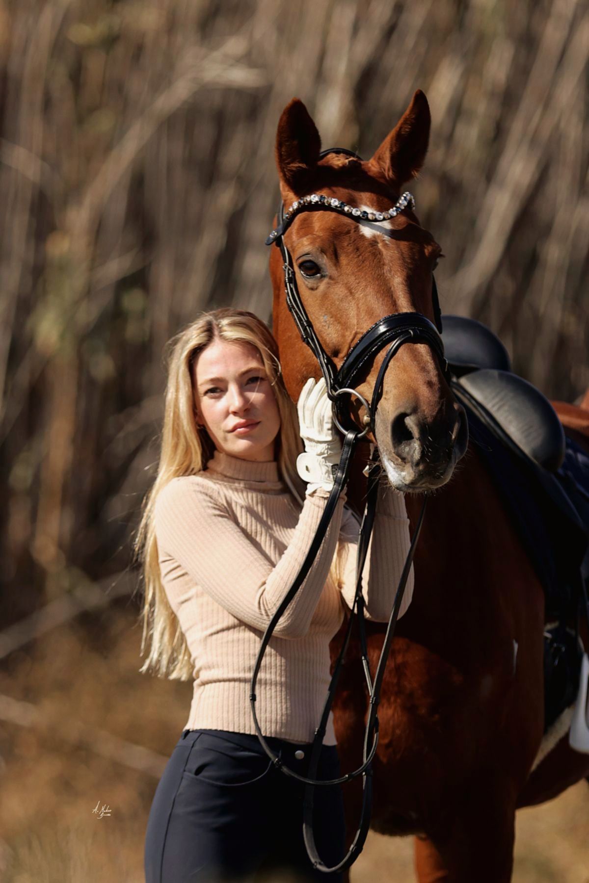 Italian leather bridle Dressage bridle Luxury bridle