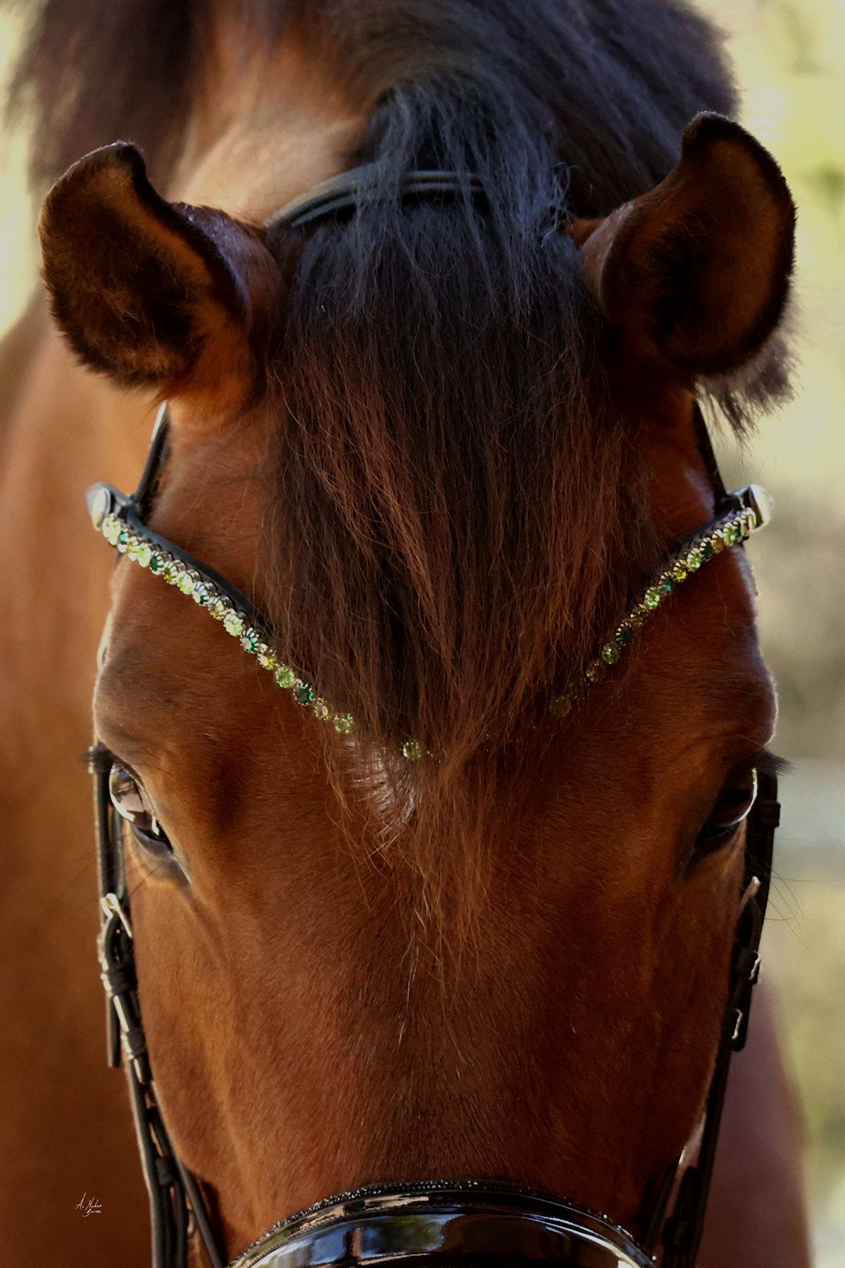 Elite Asiza browband. Preciosa crystals in green hues. Quick-change with anti-slip grip. Slender anatomical deep U-shape. Italian leather. All sizes. By Ice Equestrian