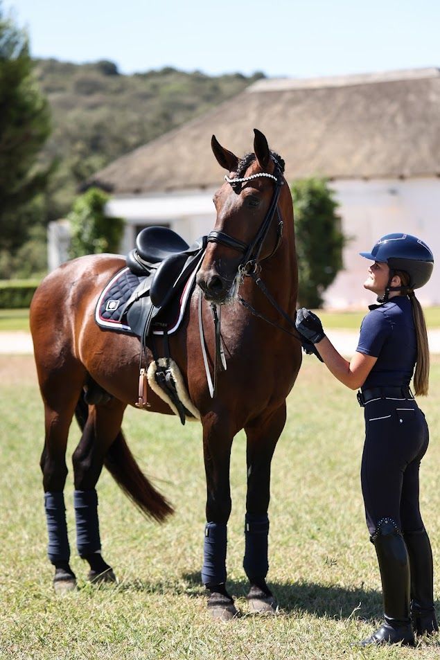 Italian leather horse noseband