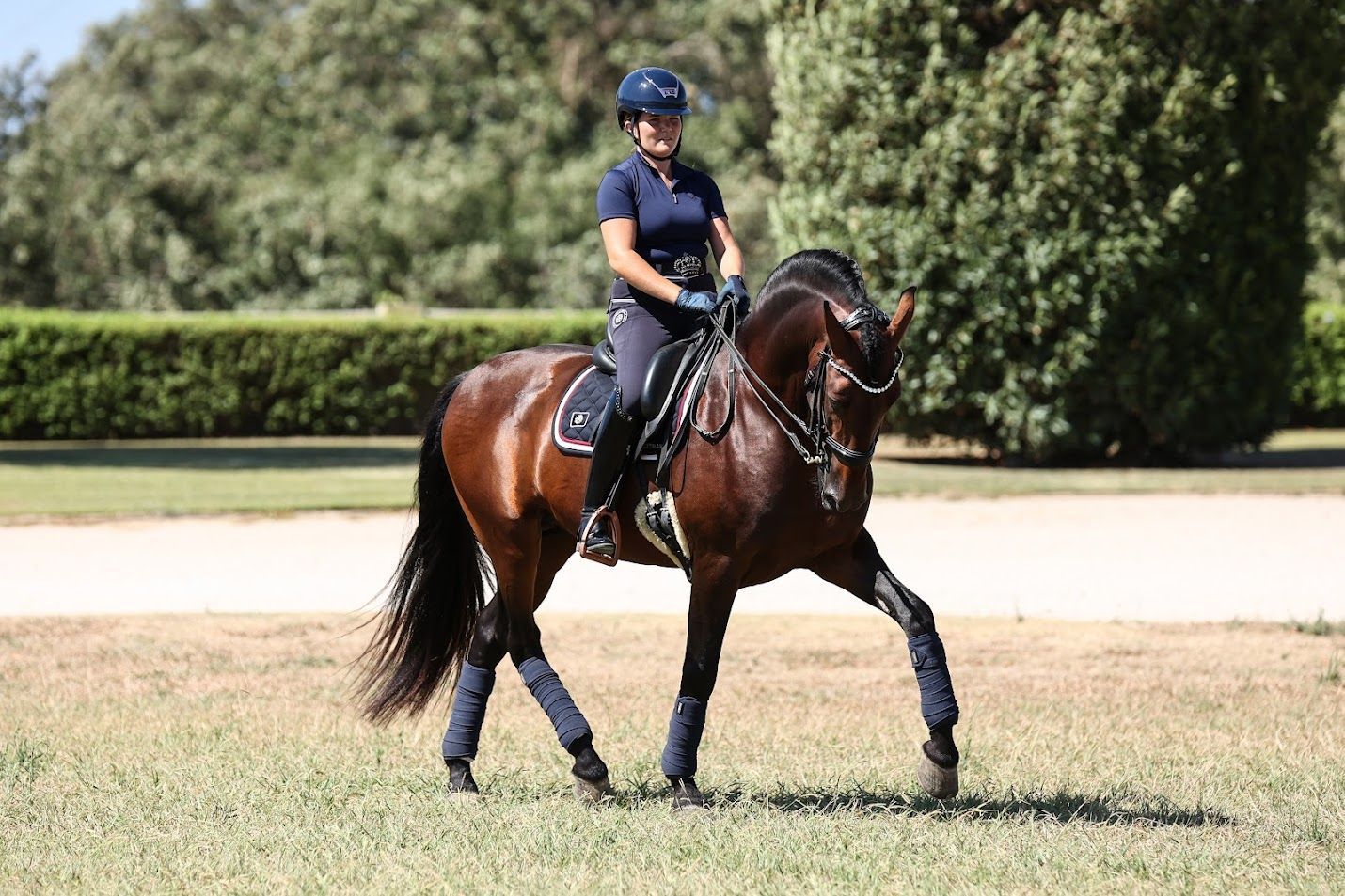 Discounted tack and apparel outlet for horse and rider by Ice Equestrian