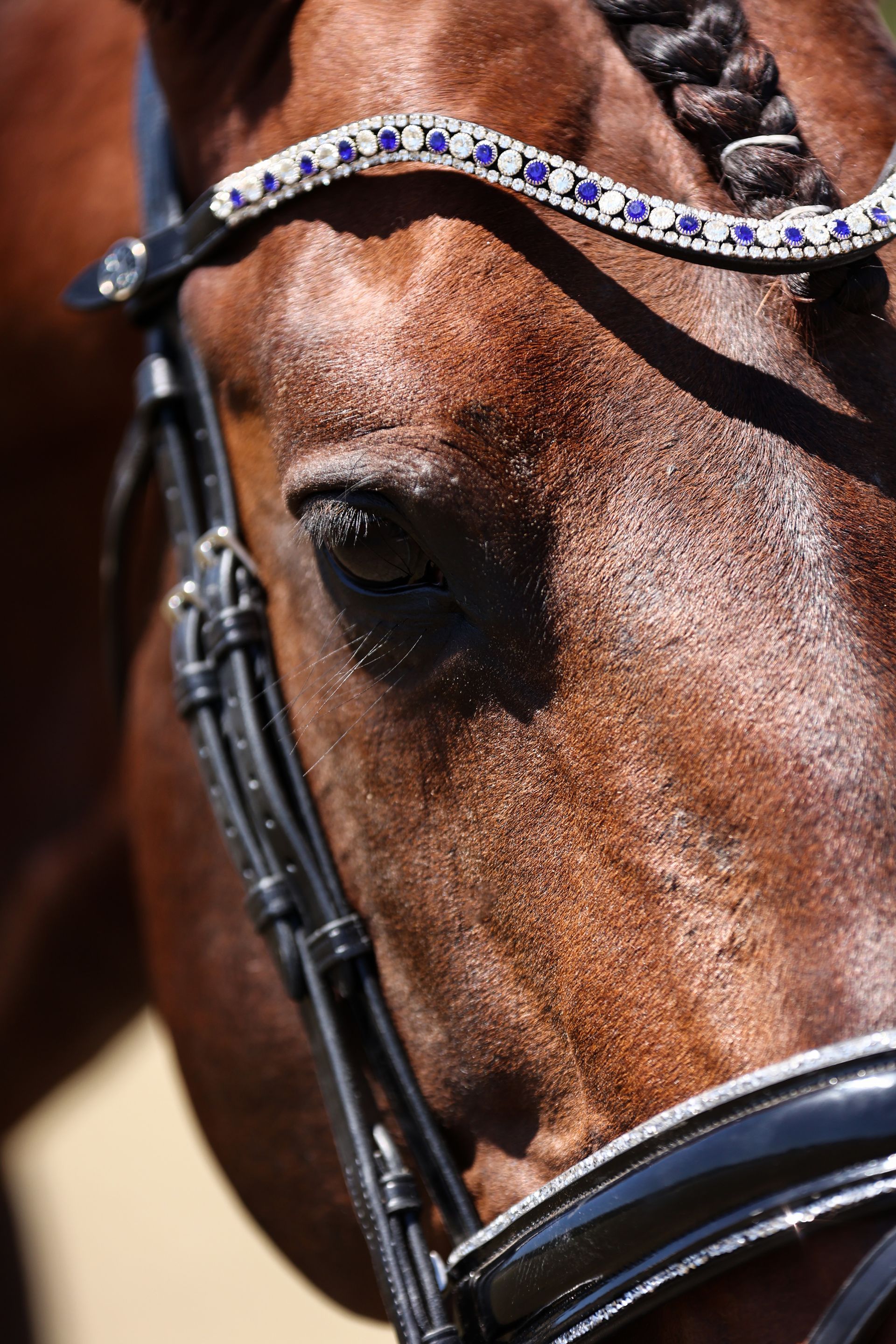 Browband