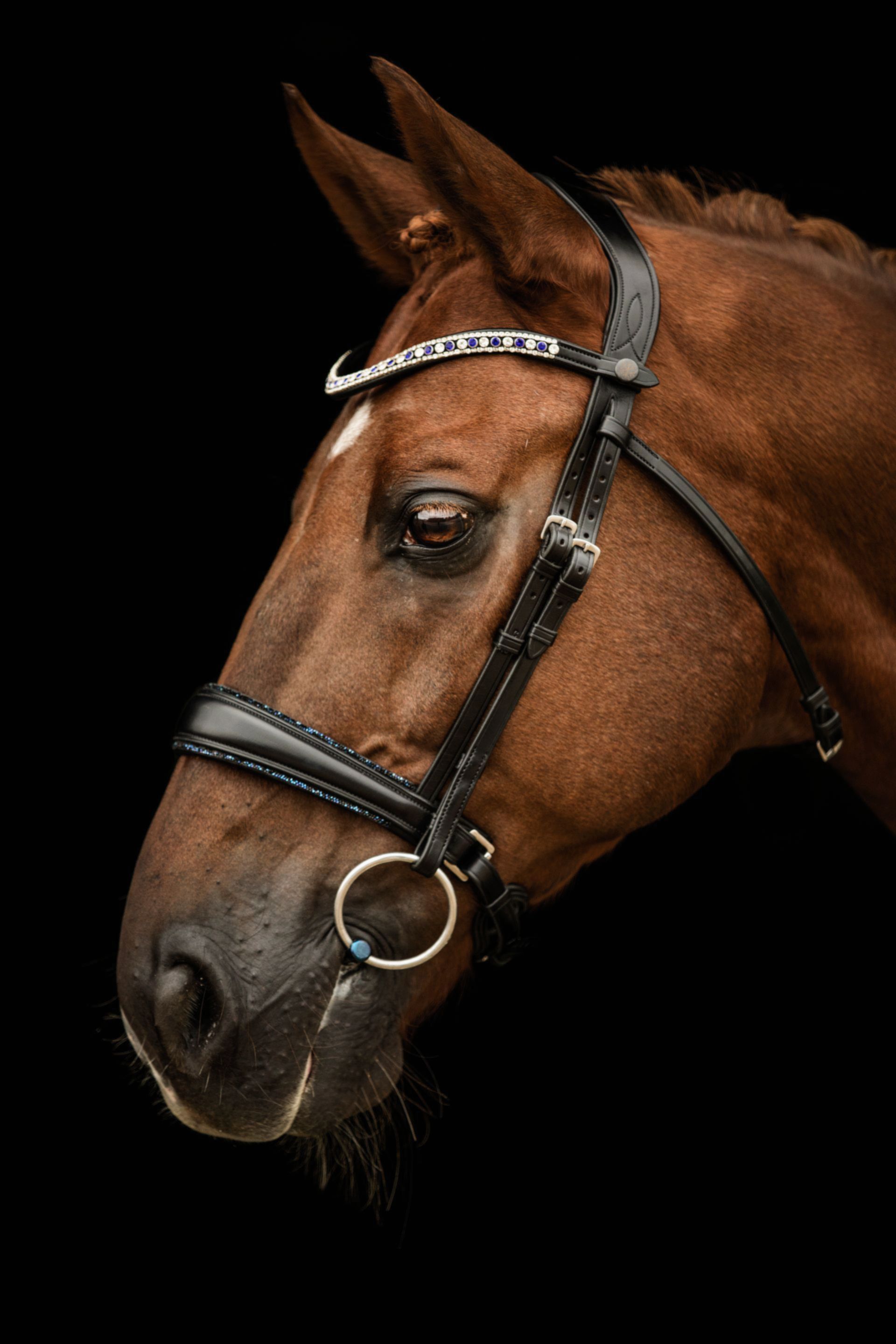 Elite Azzurro Italian leather horse bridle. 3-row Stellux crystal browband and signature blue sparkle trim. Quick-change with anti-slip grip. Anatomical contoured fit. By Ice Equestrian