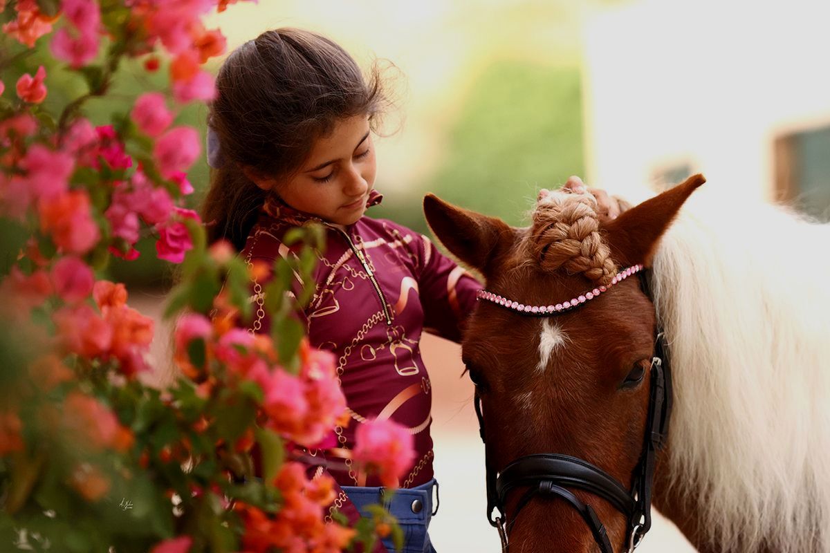 Let every hoofbeat echo with brilliance. Elite Blush browband. Stellux crystals in iridescent pink. Quick-change. Slender anatomical U-shape. Italian leather. All sizes. By Ice Equestrian.