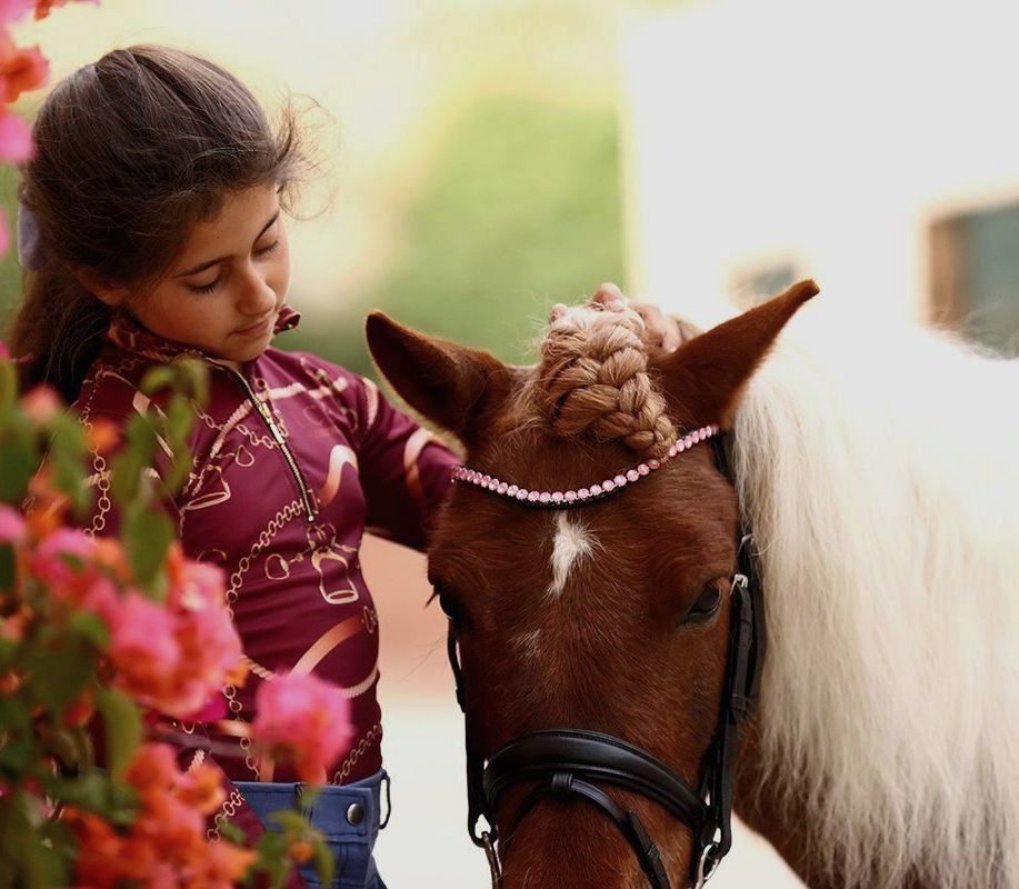 Let every hoofbeat echo with brilliance. Elite Blush browband. Stellux crystals in iridescent pink. Quick-change. Slender anatomical U-shape. Italian leather. All sizes. By Ice Equestrian.