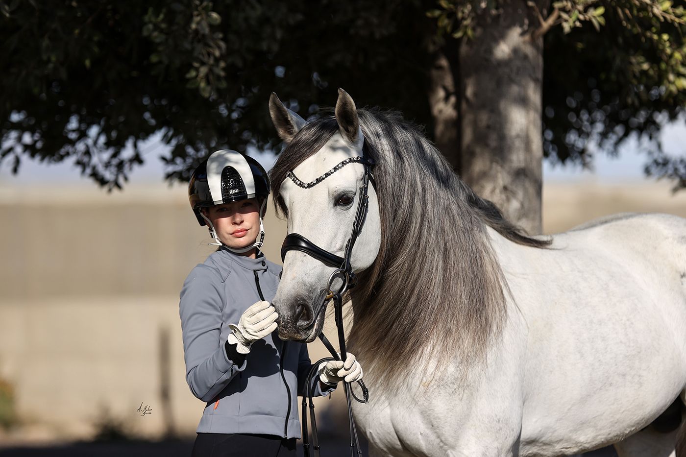 Let every hoofbeat echo with brilliance. Elite Dynamic crystal browband. 8mm Preciosa crystals in Jet, Black Diamond and Crystal. Italian leather. Quick-change snap clips. Slender anatomical deep u-shape fit. All sizes. By Ice Equestrian.