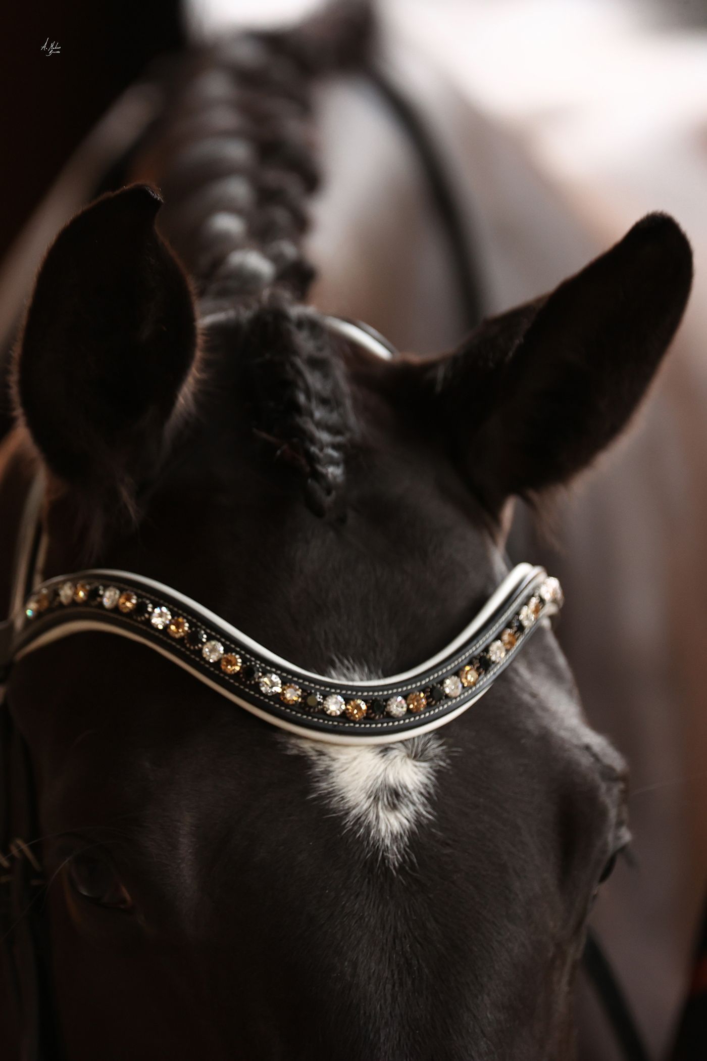 Let every hoofbeat echo with brilliance. Elite Picassi Italian leather Preciosa crystal browband. 8mm crystals in Smoked Topaz, Light Colorado Topaz and Crystal. White softee padding and white contrast stitching. Quick-change snap clips. Anatomical deep U-shape fit. All sizes. By Ice Equestrian.
