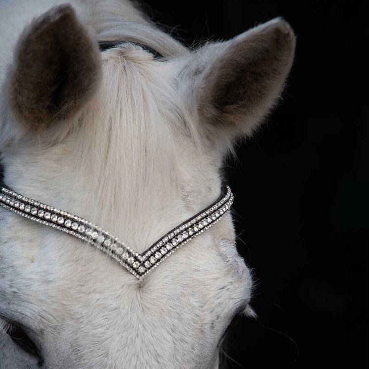 Let every hoofbeat echo with brilliance. Veerumpcious premium European leather crystal browband. Five-row design with 6mm silver central crystals framed by 2mm black and silver outer rows. Traditional loops. Anatomical V-shape fit. All sizes. By Ice Equestrian.