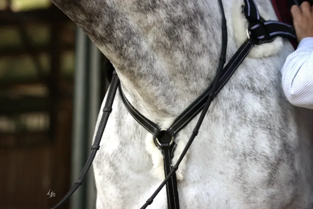 Discounted Belvedere premium leather horse competition breastplate. Detachable Merino Wool pressure pads. Anatomical contoured fit. By Ice Equestrian