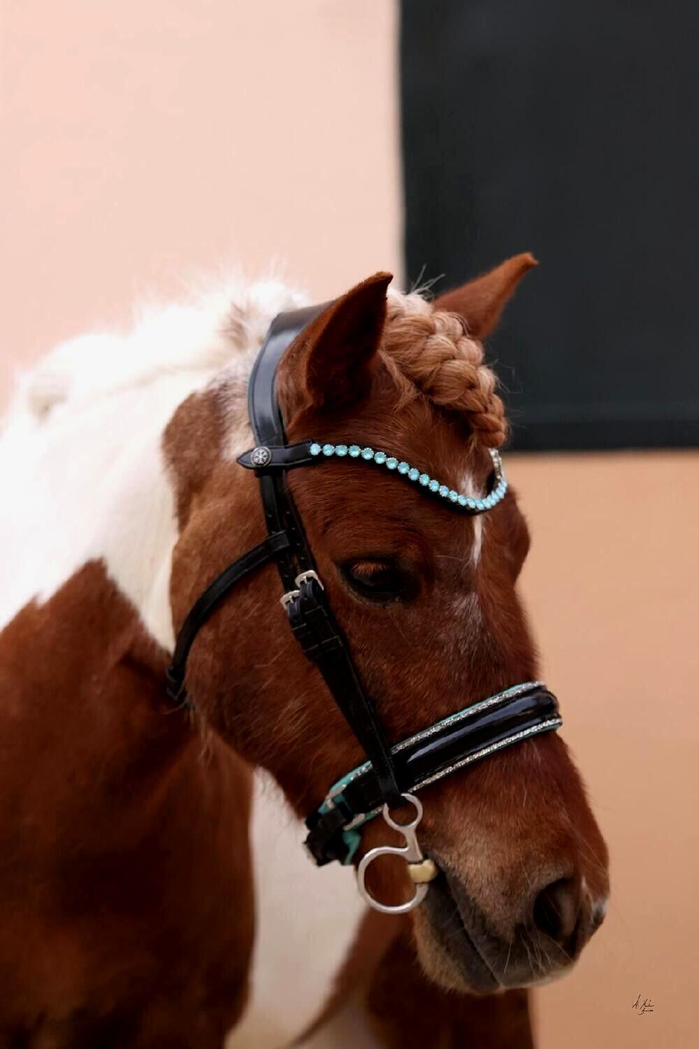 Let every hoofbeat echo with brilliance. Elite Ocean browband. Stellux crystals in iridescent aqua. Quick-change. Slender anatomical deep U-shape. Italian leather. All sizes. By Ice Equestrian.