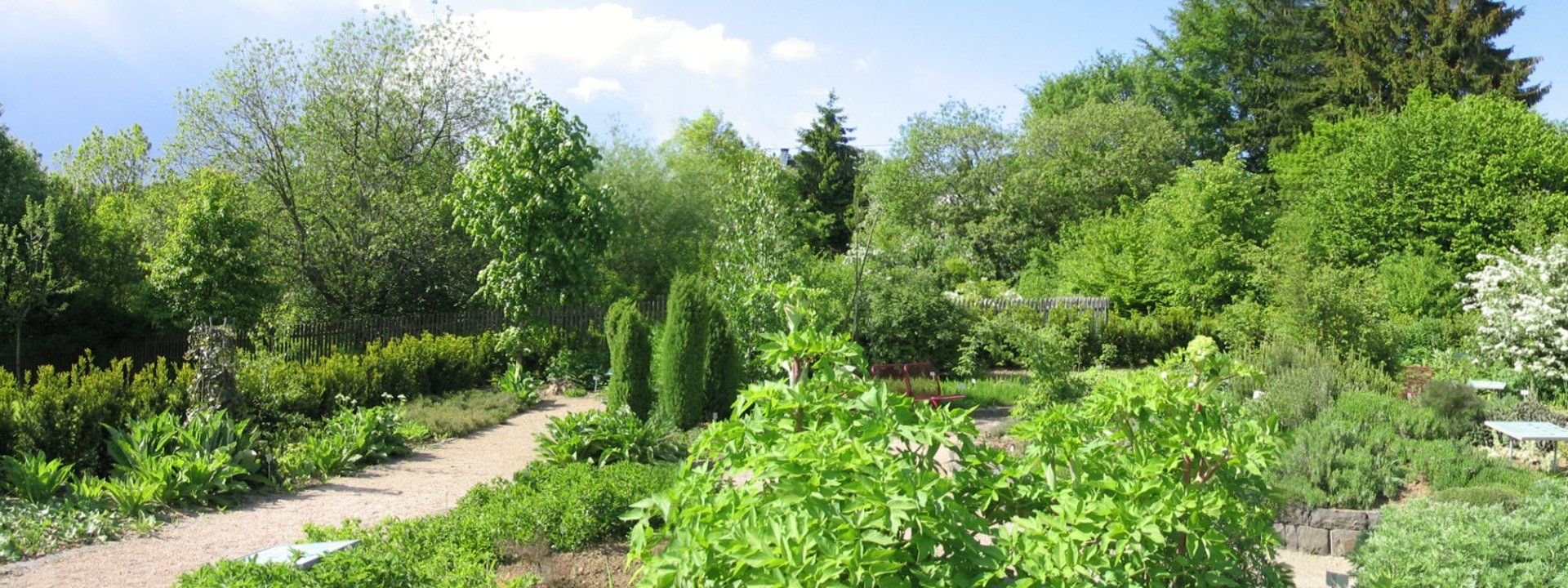 Der Apothekergarten im Kurpark von Bad Marienberg Der Apothekergarten im Kurpark von Bad Marienberg