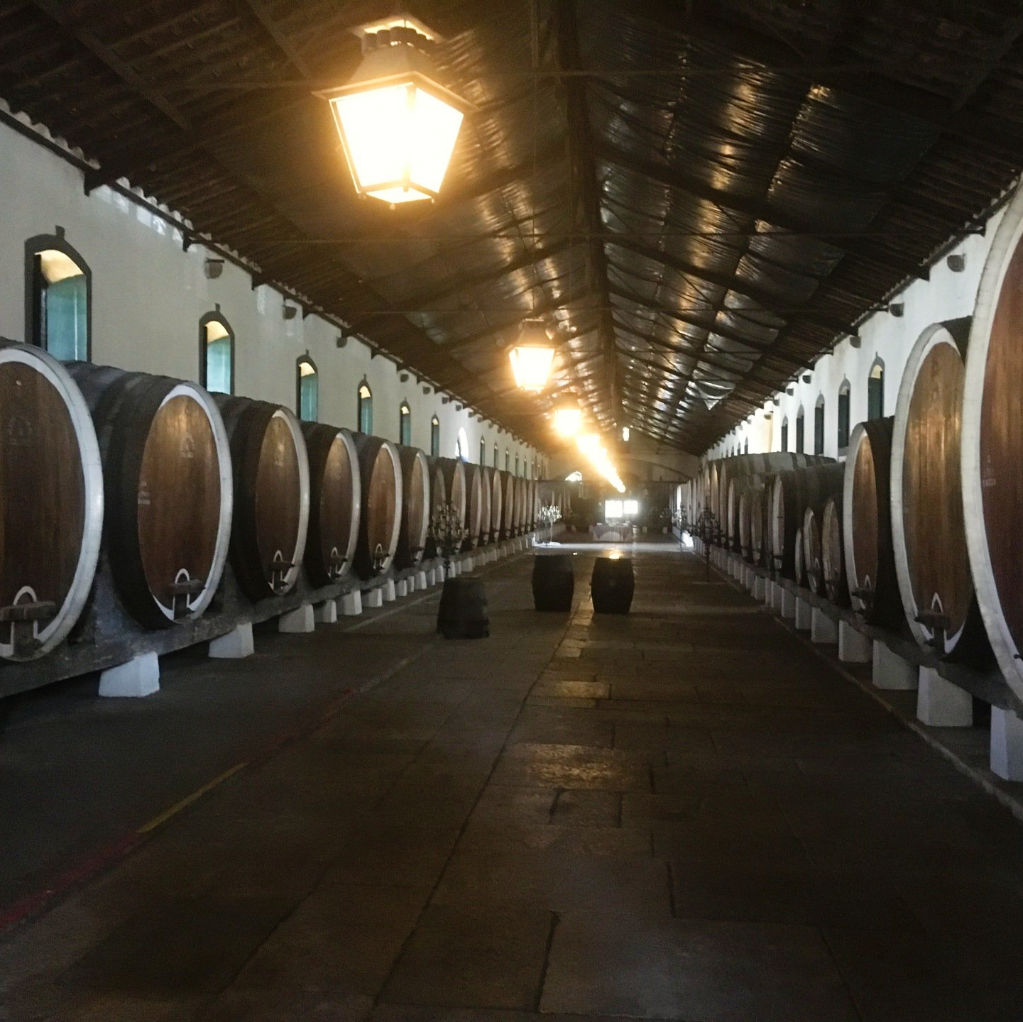 Portucale Tours Gruppenreisen