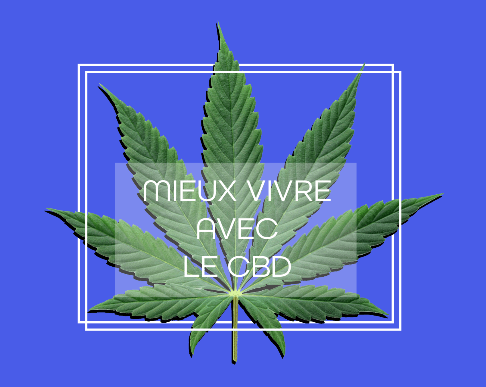 Mieux vivre avec le CBD