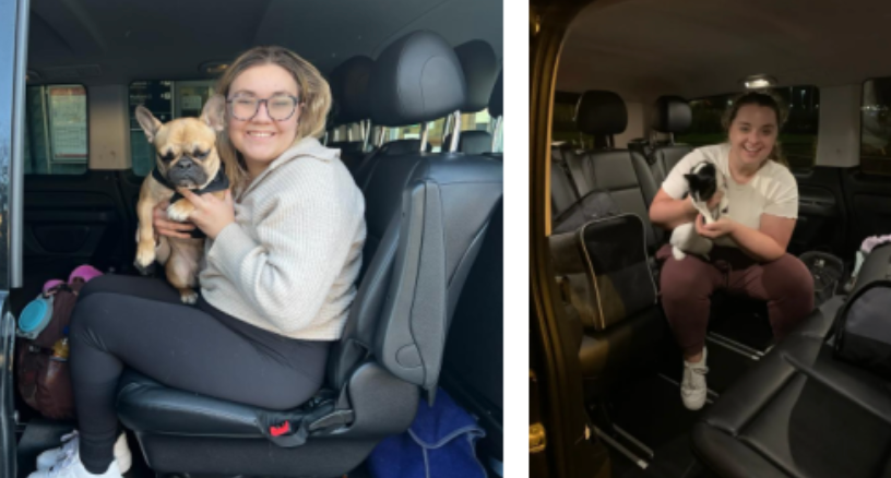 pet relocation services uk