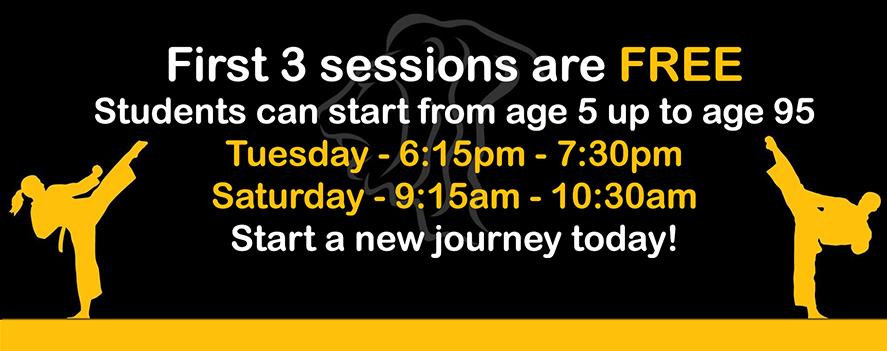 Lancing Freestyle Karate, West Sussex, Poster