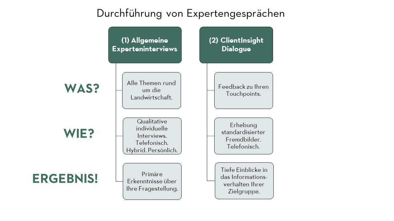 Grafik zu den 2 Arten der Expertengespräche Grafische Zusammenfassung der Durchführung der Expertengespräche