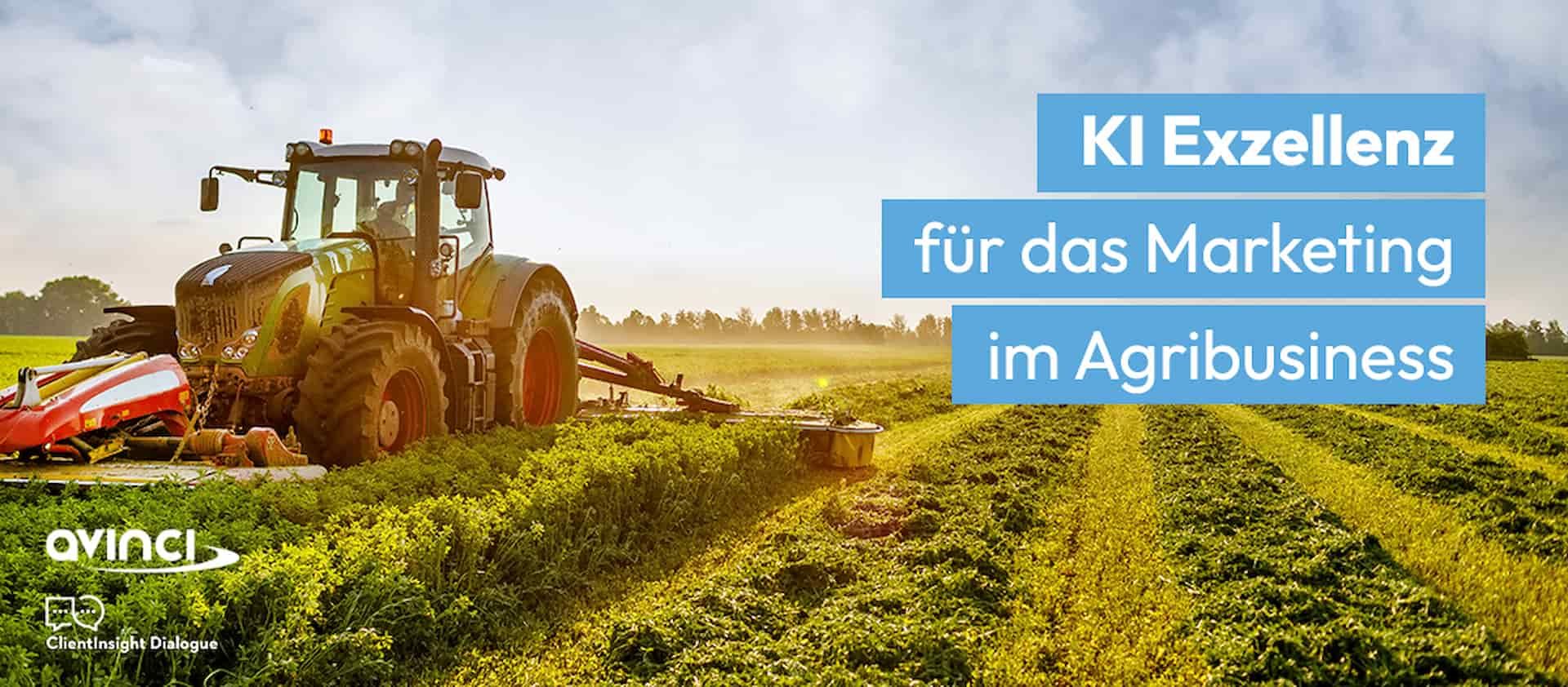 KI Bild Sonnenblumenfeld Foto Sonnenblumen für KI