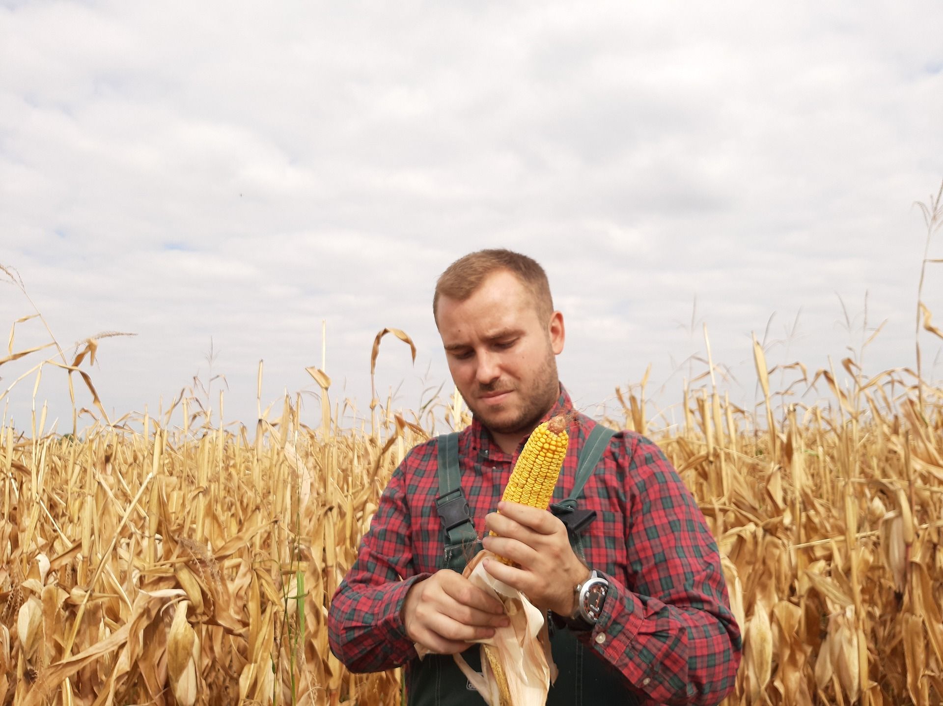 Persona-Landwirt in der Customer Journey