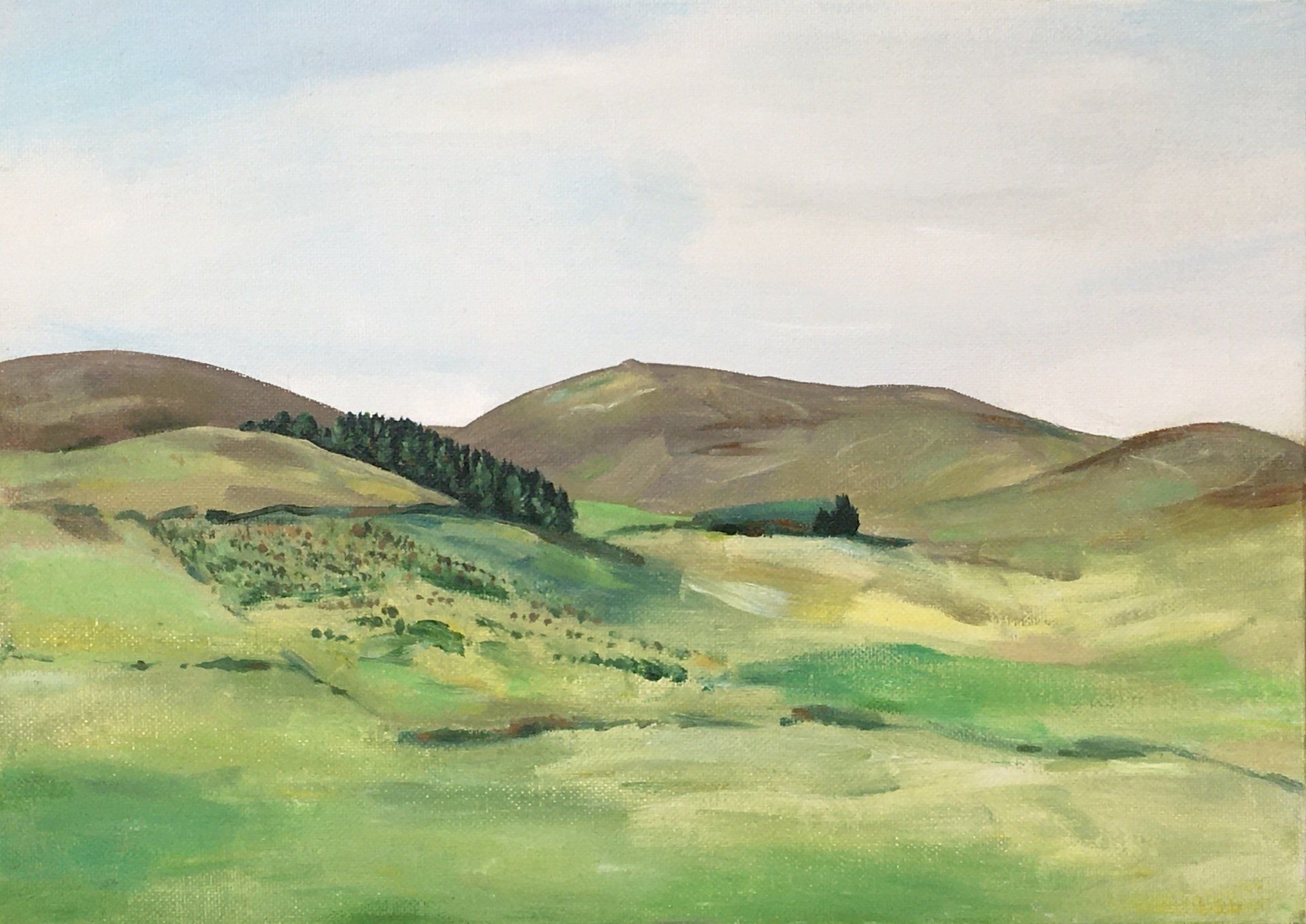 Landscape Jennifer Turner