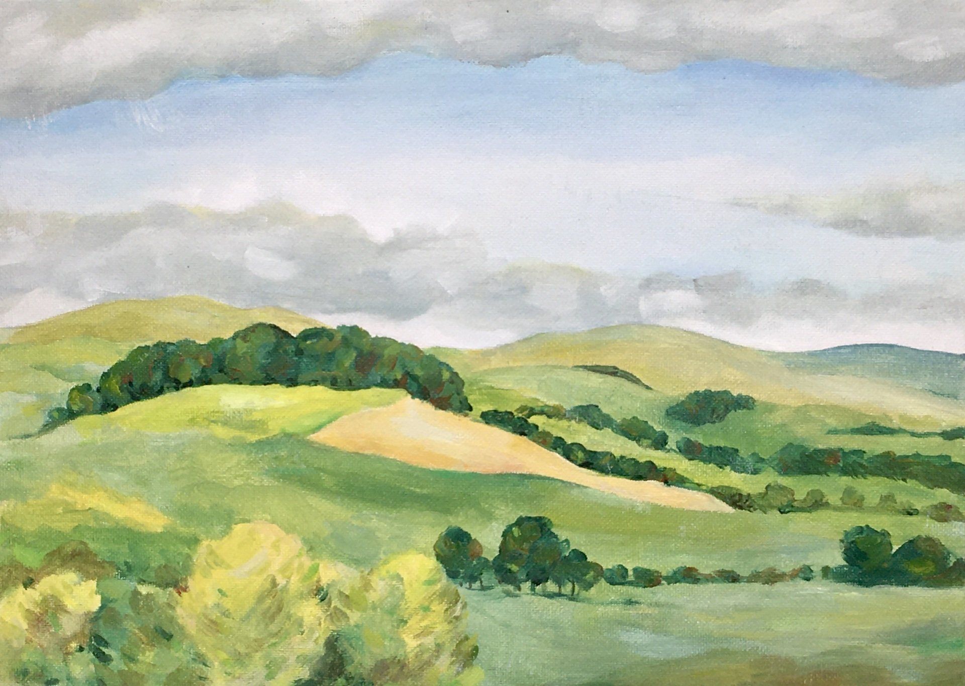 Landscape Jennifer Turner