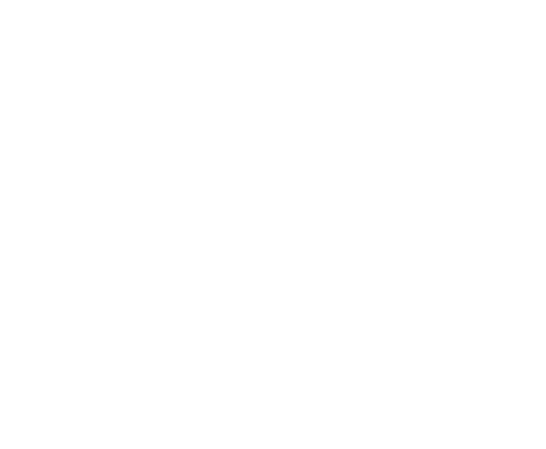 LOGO BJR weiß