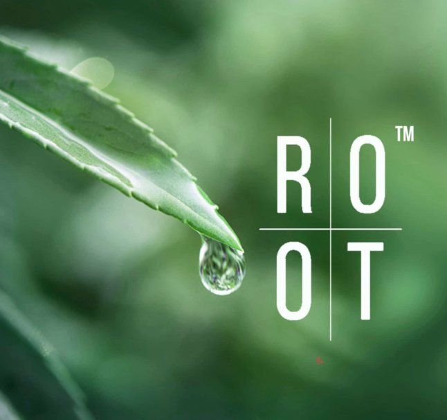 The Root Causes_logo