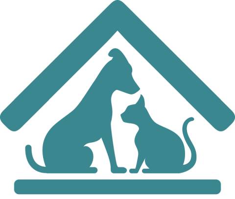 logo-icon
