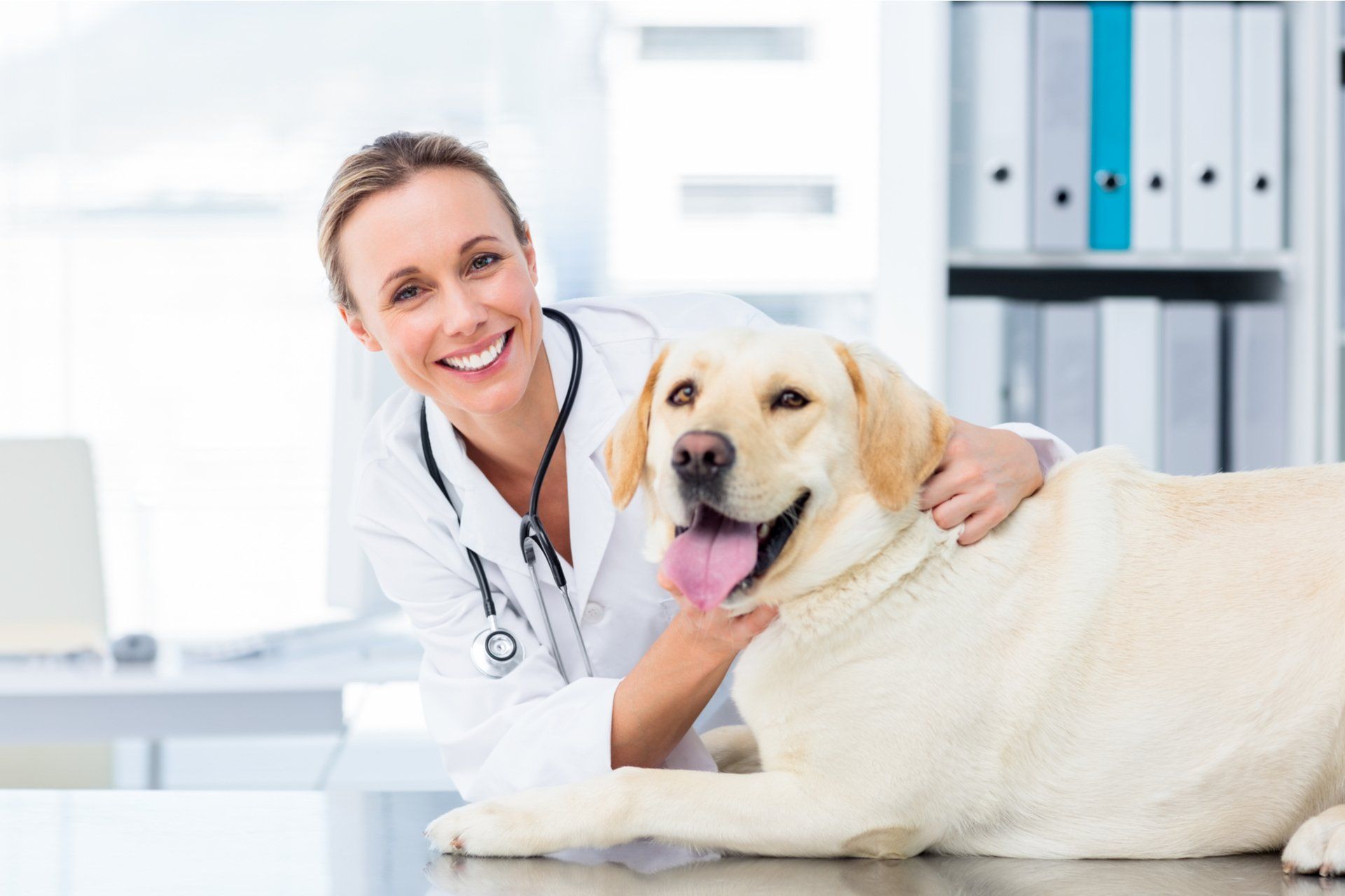a vet with a happy dog