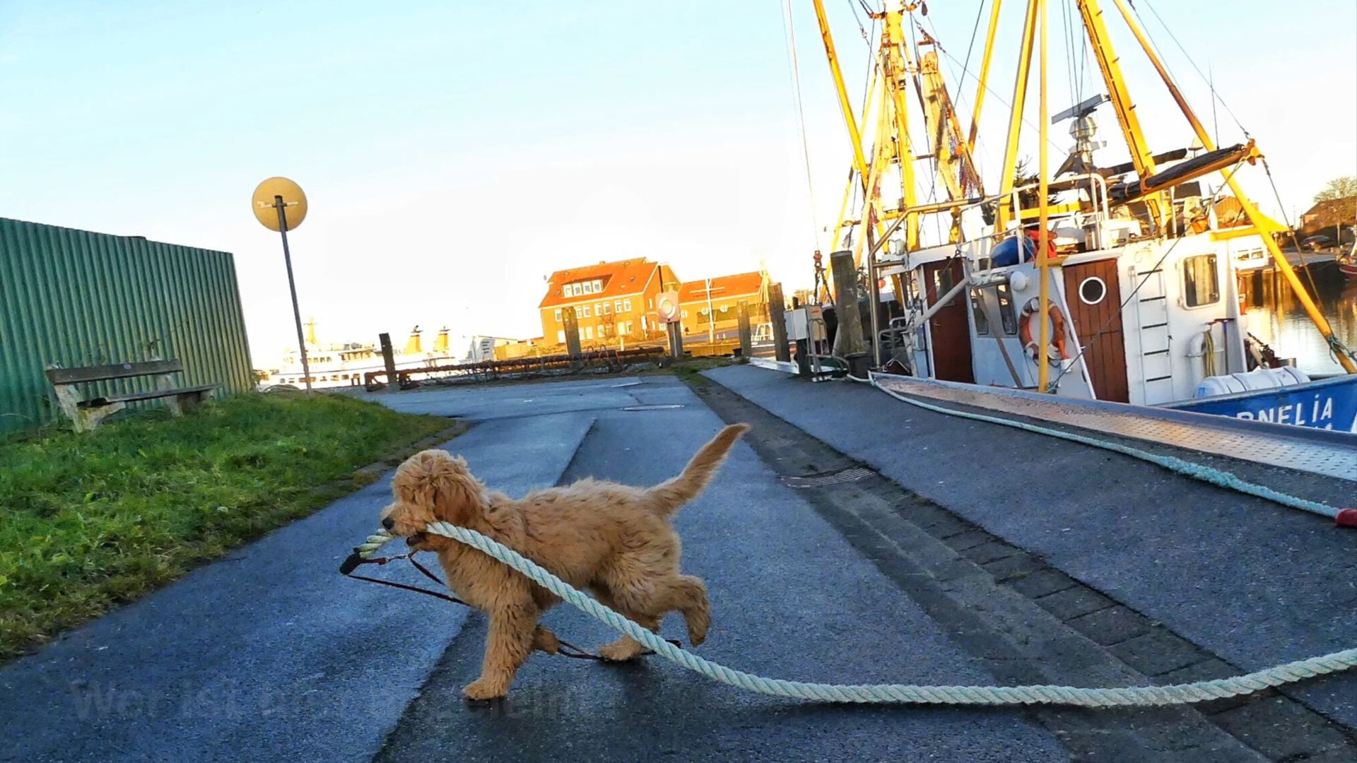 Spaß im Hafen am Reetdachhaus Haubarg-Kieker