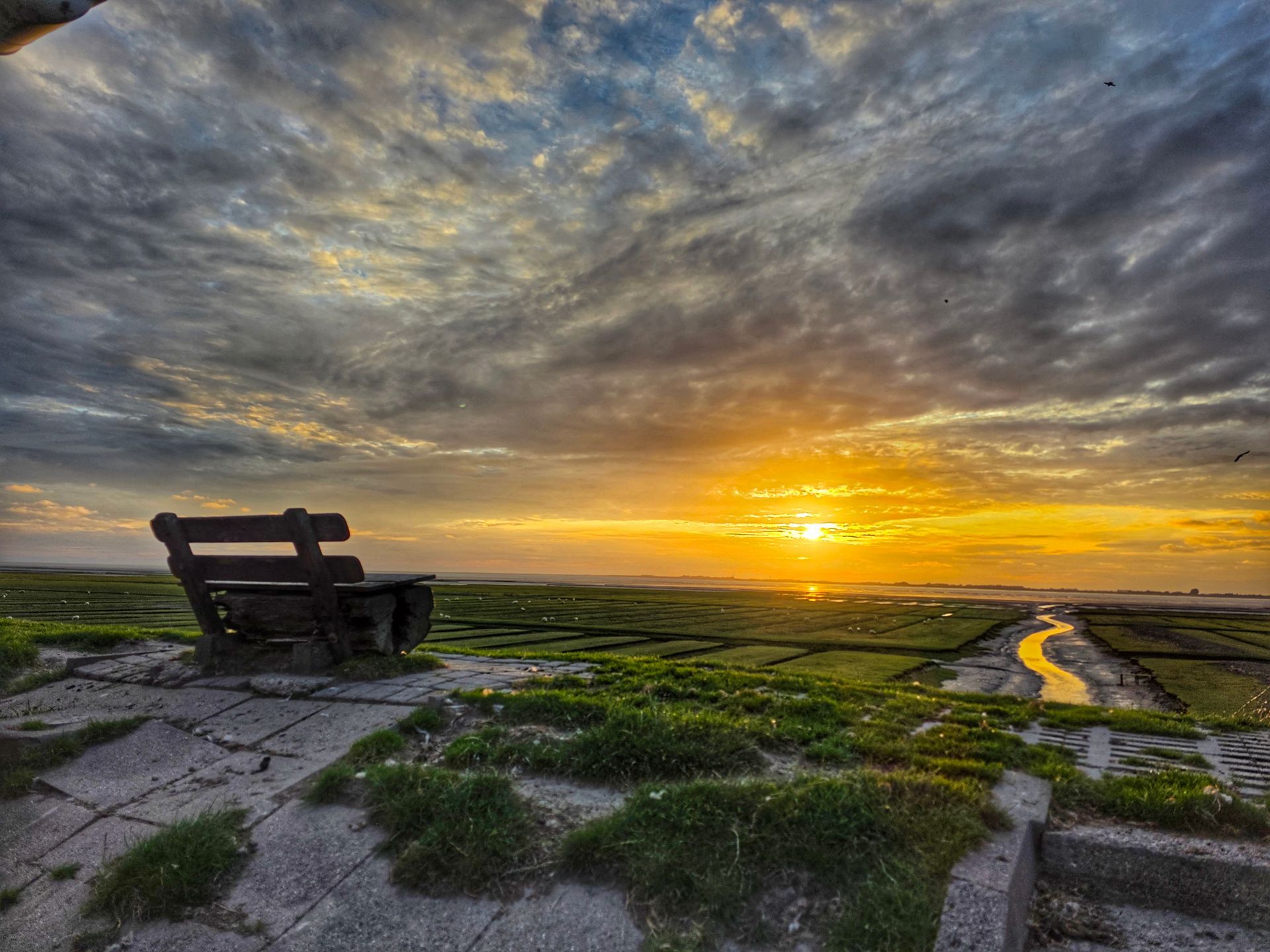 Coolation Nordsee: Ferienhaus an der Nordsee, erfrischender Sommer, Natur