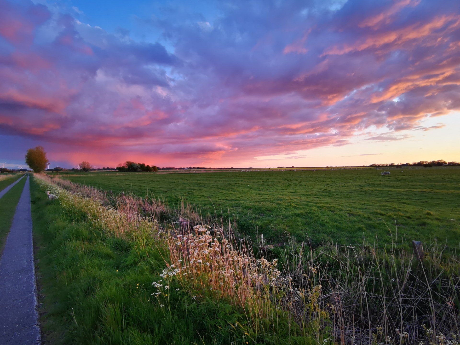 Reetdachhaus Haubarg-Kieker Idylle