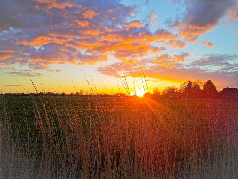 Reetdachhaus Haubarg-Kieker Sonnenuntergang