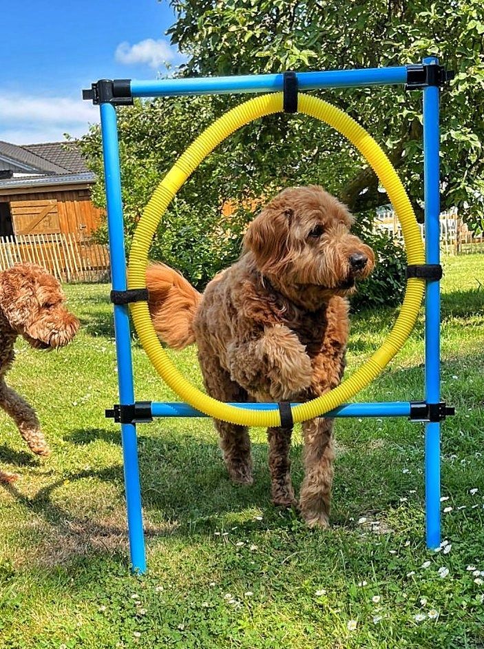 Agility im Garten Reetdachhaus Haubarg-Kieker