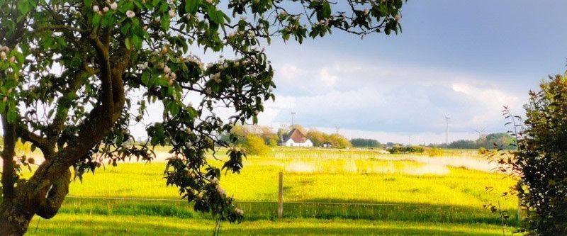 Name Haubarg-Kieker Name Haubarg-Kieker