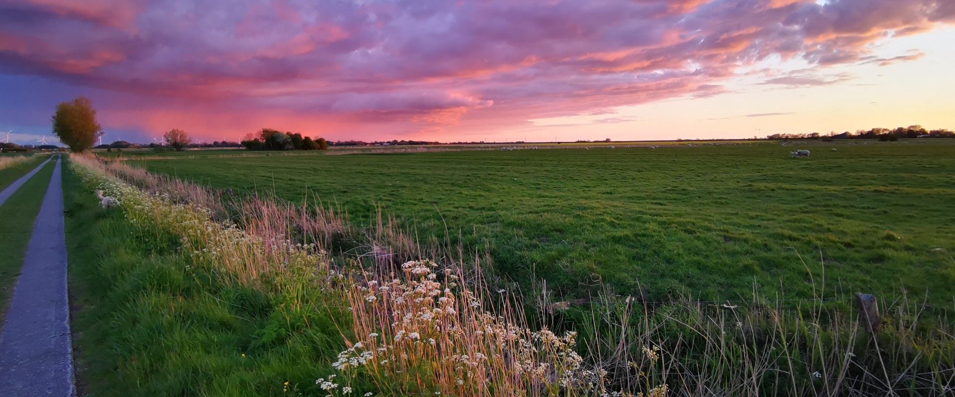 Spazierwege am Reetdachhaus Haubarg-Kieker Spazierwege am Reetdachhaus Haubarg-Kieker