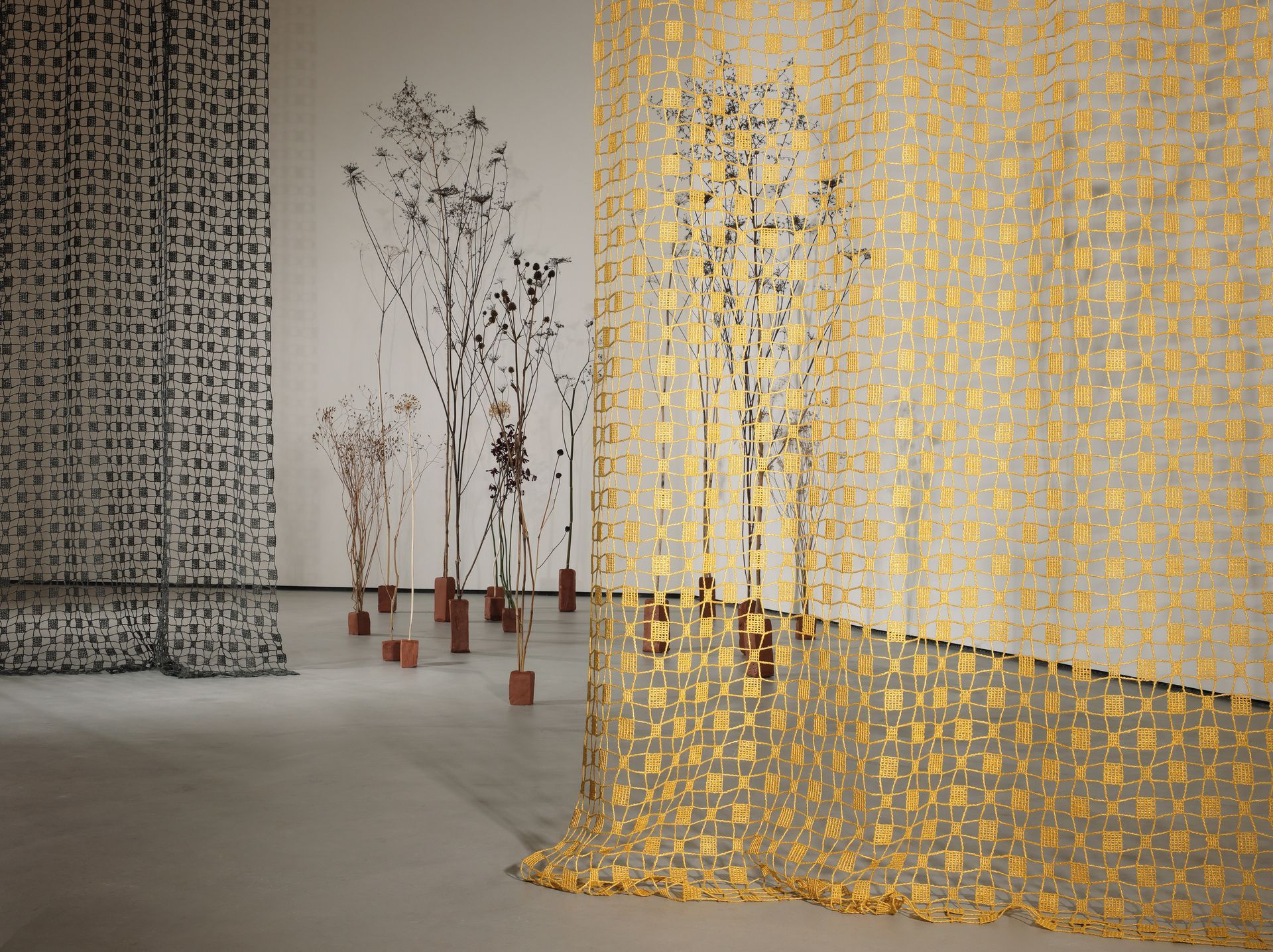 Edra von Creation Baumann