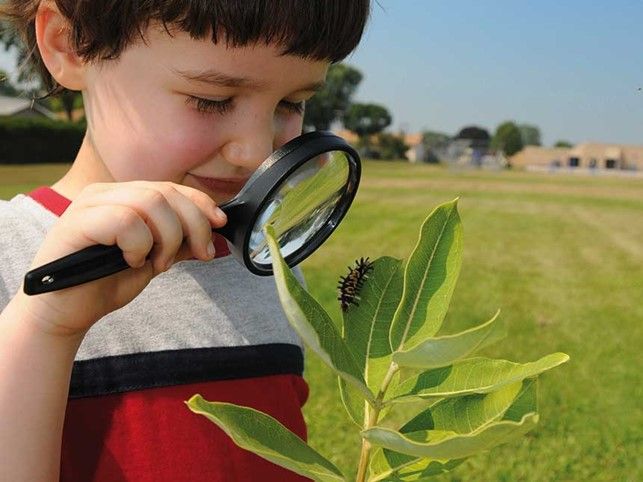 edu-stem infanzia abilità scienziati