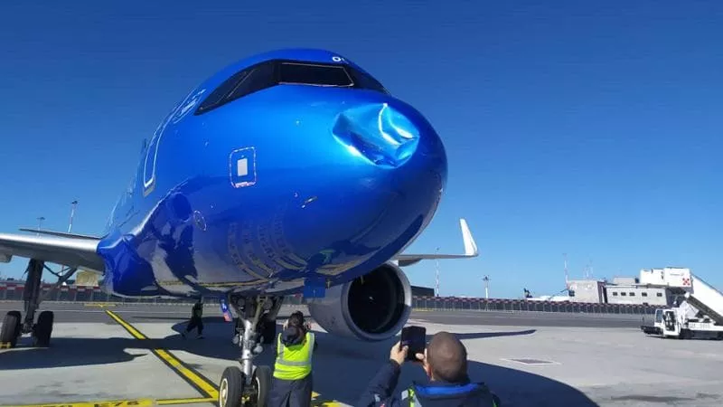 Bird strike