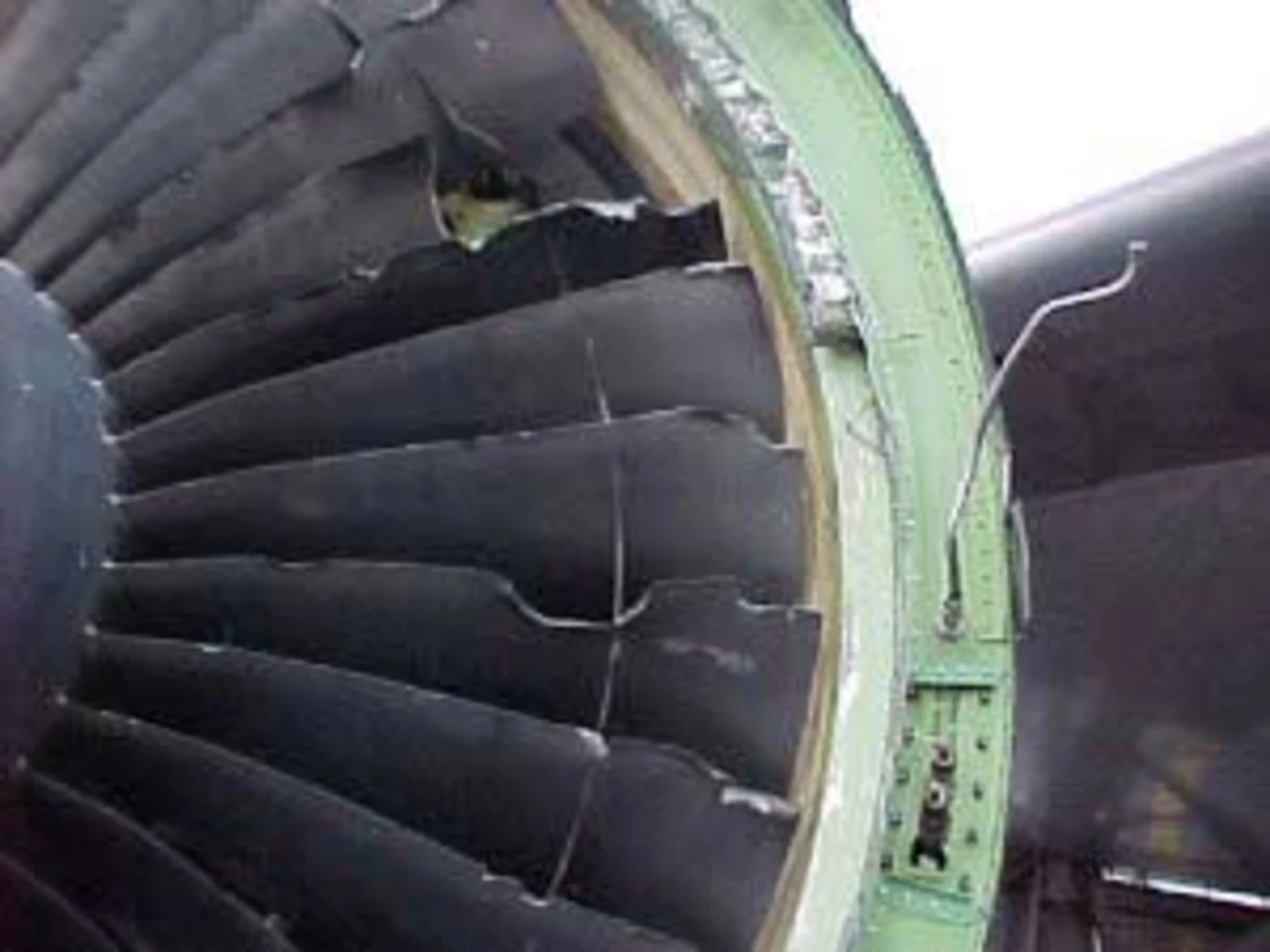 Bird strike