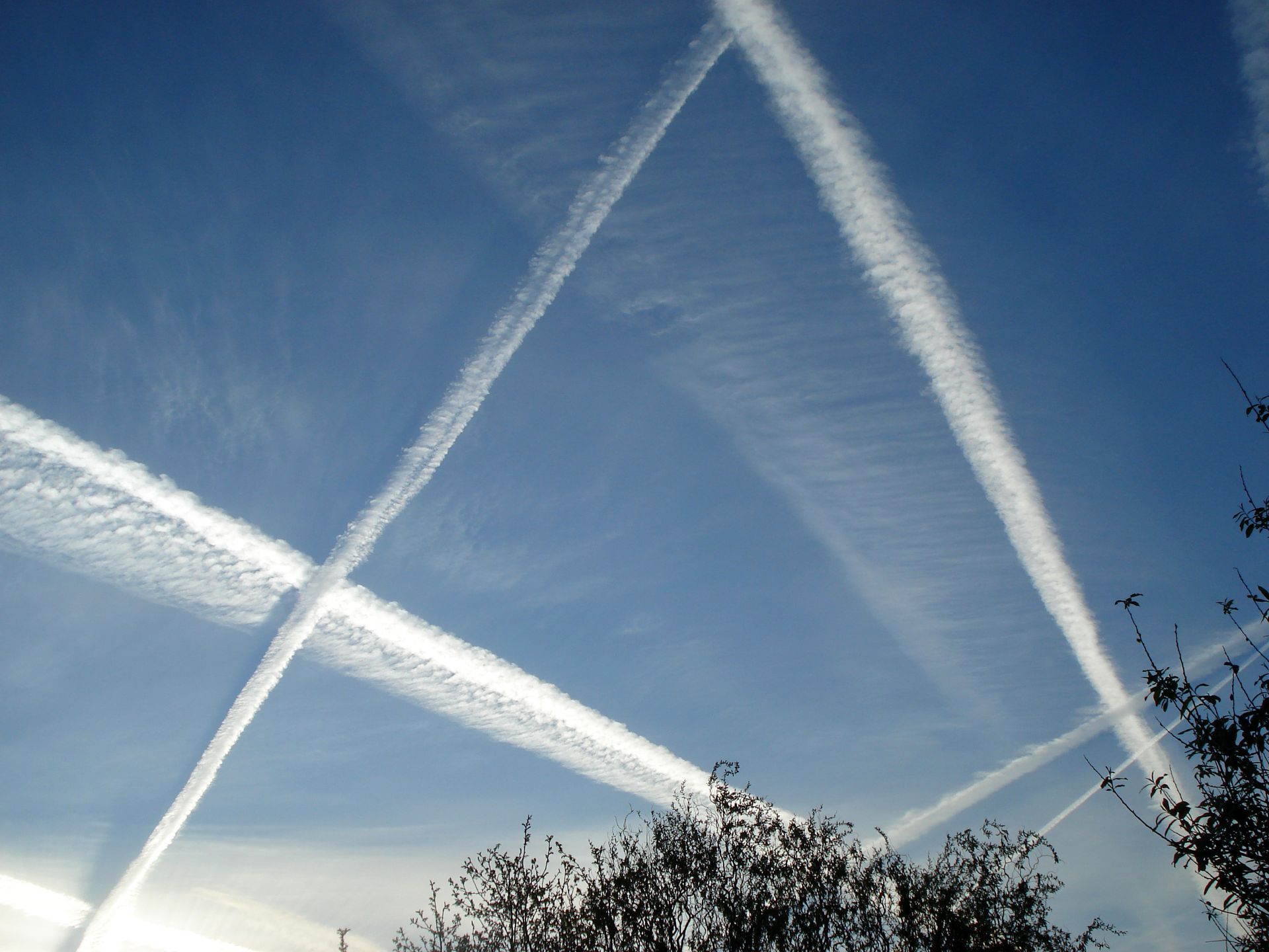 Confronto tra diverse tipologie di scie